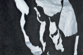 ℭ𝔞𝔪𝔦𝔩𝔩𝔢 𝔅𝔯𝔲𝔞𝔱