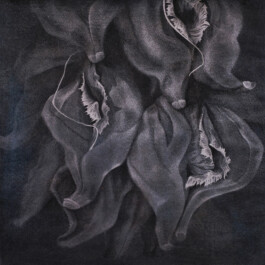 ℭ𝔞𝔪𝔦𝔩𝔩𝔢 𝔅𝔯𝔲𝔞𝔱