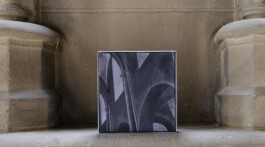 ℭ𝔞𝔪𝔦𝔩𝔩𝔢 𝔅𝔯𝔲𝔞𝔱