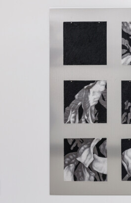 ℭ𝔞𝔪𝔦𝔩𝔩𝔢 𝔅𝔯𝔲𝔞𝔱