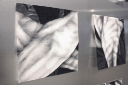 ℭ𝔞𝔪𝔦𝔩𝔩𝔢 𝔅𝔯𝔲𝔞𝔱