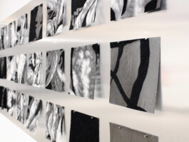 ℭ𝔞𝔪𝔦𝔩𝔩𝔢 𝔅𝔯𝔲𝔞𝔱