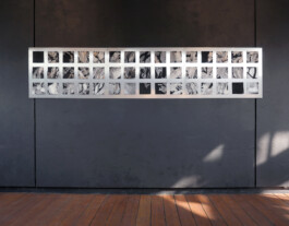 ℭ𝔞𝔪𝔦𝔩𝔩𝔢 𝔅𝔯𝔲𝔞𝔱