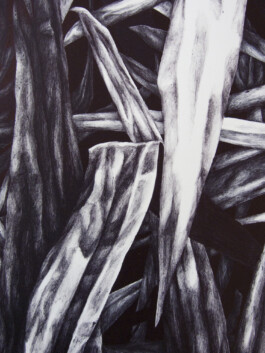 ℭ𝔞𝔪𝔦𝔩𝔩𝔢 𝔅𝔯𝔲𝔞𝔱