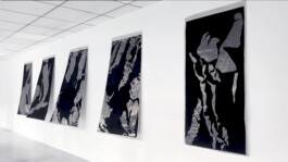 ℭ𝔞𝔪𝔦𝔩𝔩𝔢 𝔅𝔯𝔲𝔞𝔱