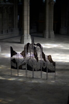 ℭ𝔞𝔪𝔦𝔩𝔩𝔢 𝔅𝔯𝔲𝔞𝔱