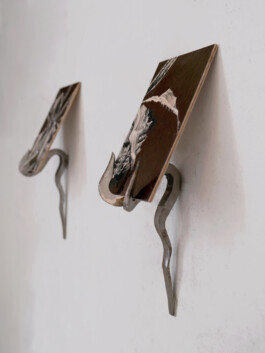 ℭ𝔞𝔪𝔦𝔩𝔩𝔢 𝔅𝔯𝔲𝔞𝔱