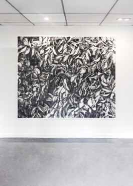 ℭ𝔞𝔪𝔦𝔩𝔩𝔢 𝔅𝔯𝔲𝔞𝔱