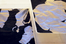 ℭ𝔞𝔪𝔦𝔩𝔩𝔢 𝔅𝔯𝔲𝔞𝔱